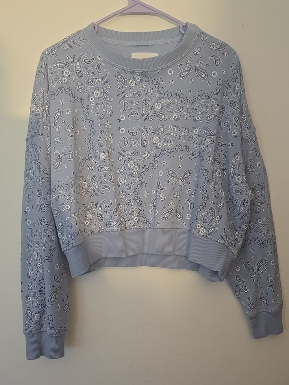 aerie Light Blue Paisley Cropped Crewneck Sweatshirt